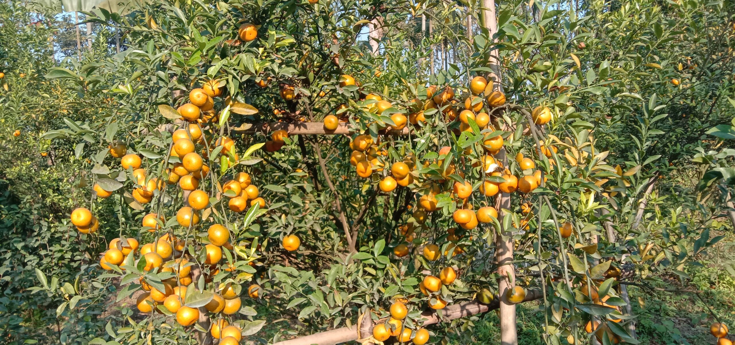 Ayol shimlari orqali sikiladi Busty gozallik fitnes va qoidalarsiz issiq jinsiy aloqa sevadi.